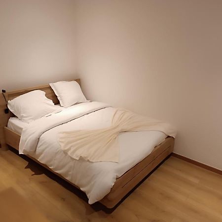 科尔马Fribourg公寓 外观 照片